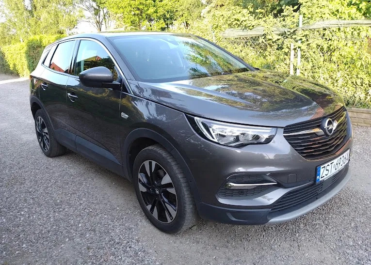 Opel Grandland X cena 57900 przebieg: 197000, rok produkcji 2018 z Kałuszyn małe 742